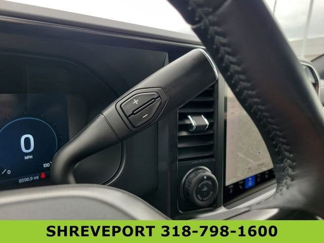 2025 Ford F-250 Platinum